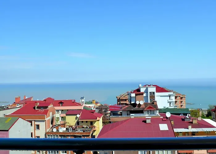 Ozgurcan & Apartment